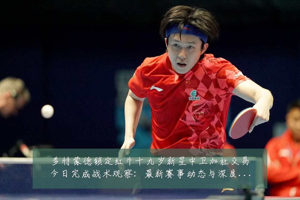 多特蒙德锁定红牛十九岁新星中卫加杜交易今日完成战术观察:最新赛事动态与深度分析